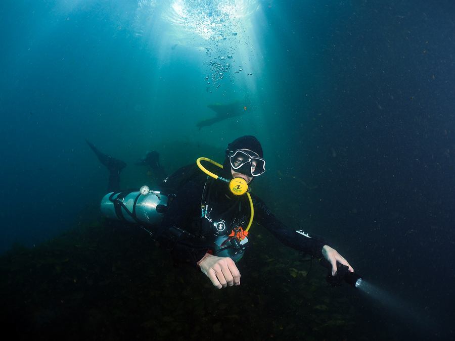 Dive under sun rays in a cenote